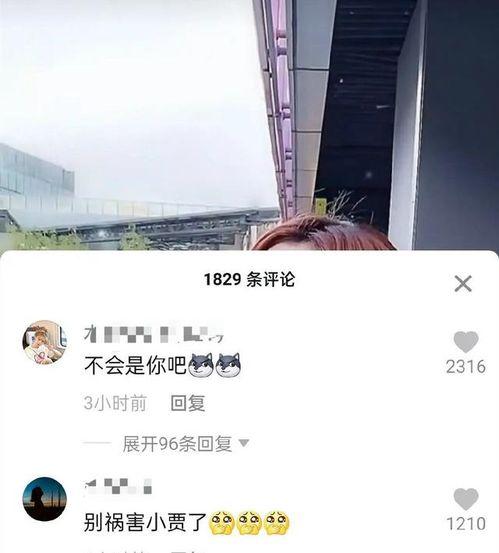 范丞丞爆料刘大锤视频,揭秘娱乐圈幕后风云